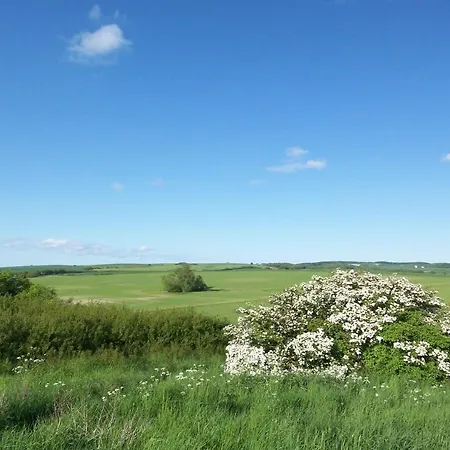 Storchennest Haus Terrasse, Garten Feriehus Wiek auf Rügen